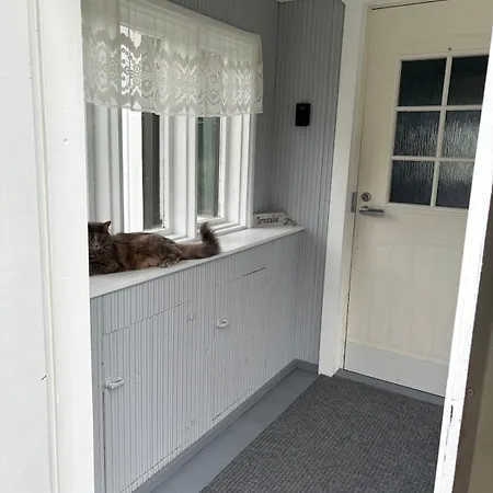 Whitehouse, Peaceful Togetherness