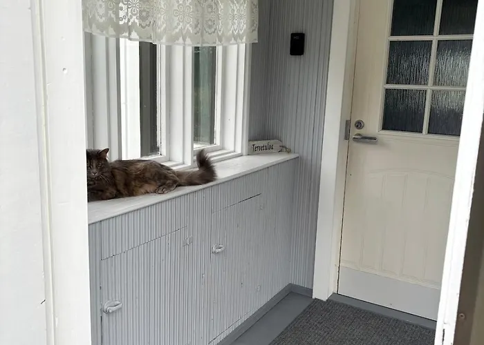 Whitehouse, Peaceful Togetherness