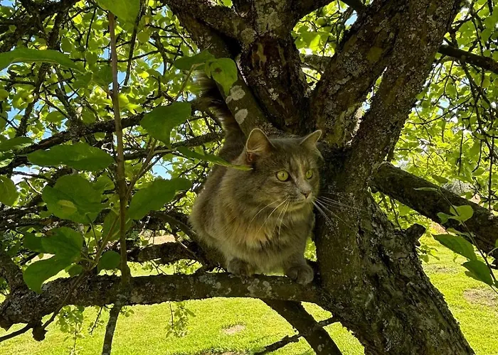 Whitehouse, Peaceful Togetherness Appartement Lehtimäki